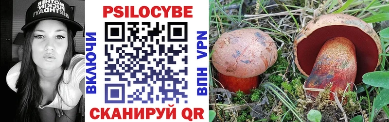 Псилоцибиновые грибы MAGIC MUSHROOMS  даркнет сайт  мориарти клад  Томилино 